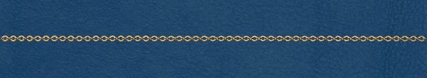 1330F Wholesale Gold Filled Cable Chain