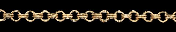 595XDKL2 Double Cable Chain